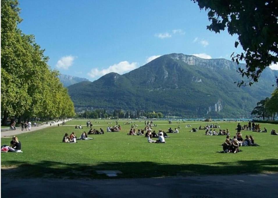 阿讷西La Petite Venise Des Alpes, Ultra Centre 1 A 5 Pers公寓 外观 照片